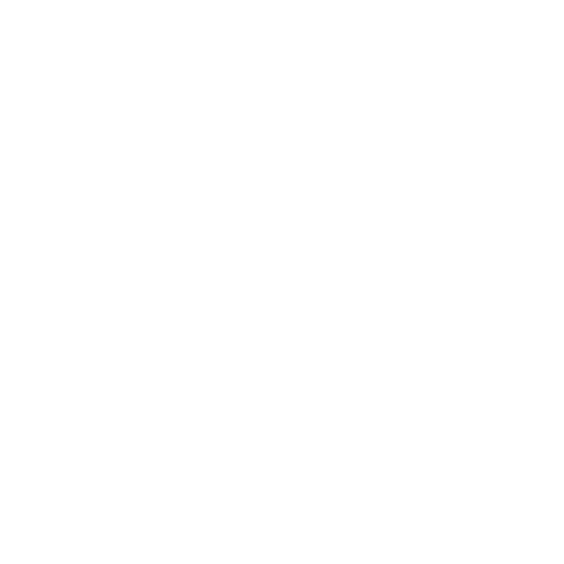 Company Vision Icon